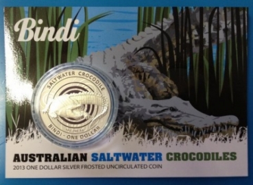 Australien Salzwasser Krokodil 